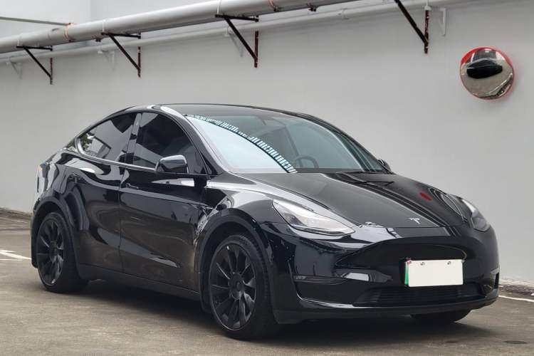 Used Tesla Model Y 2021 Standard Range Rear-Wheel Drive Version Exterior 2