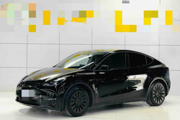 Used Tesla Model Y 2021 Standard Range Rear-Wheel Drive Version Exterior 3
