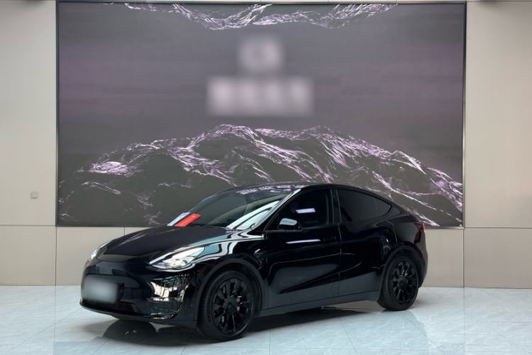 Used Tesla Model Y 2021 Standard Range Rear-Wheel Drive Version Exterior 3