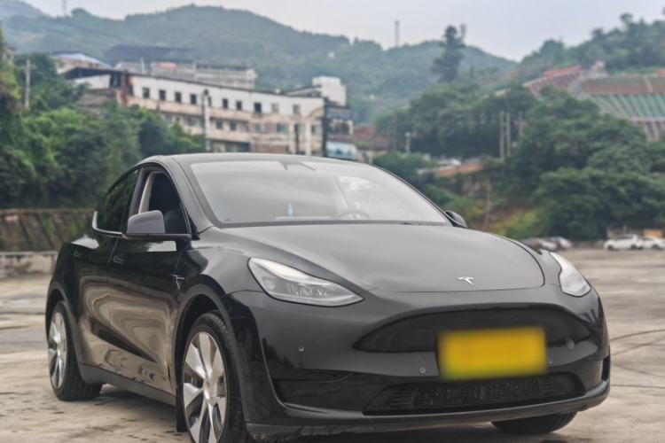 Used Tesla Model Y 2021 Standard Range Rear-Wheel Drive Version Exterior 3