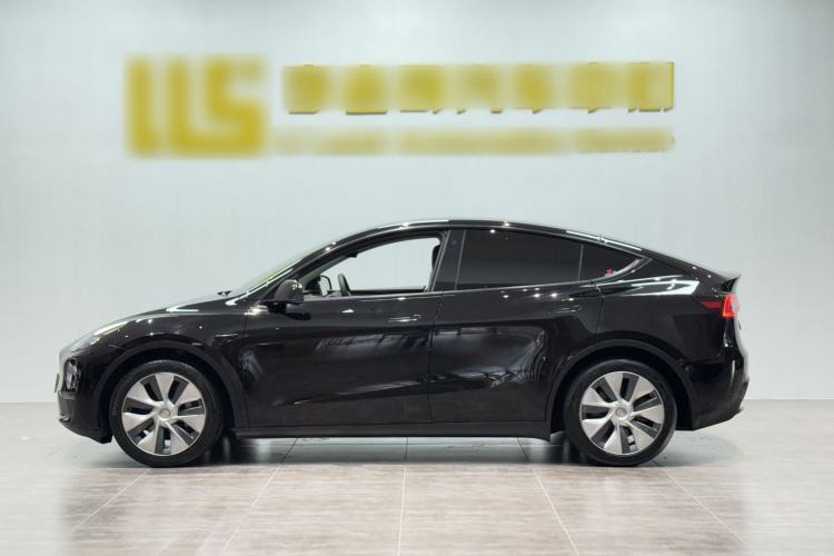 Used Tesla Model Y 2021 Standard Range Rear-Wheel Drive Version Exterior 3