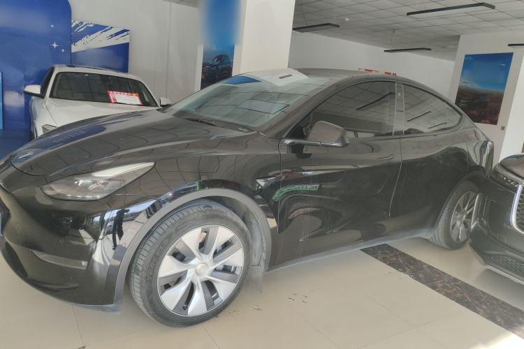Used Tesla Model Y 2021 Standard Range Rear-Wheel Drive Version Exterior 3