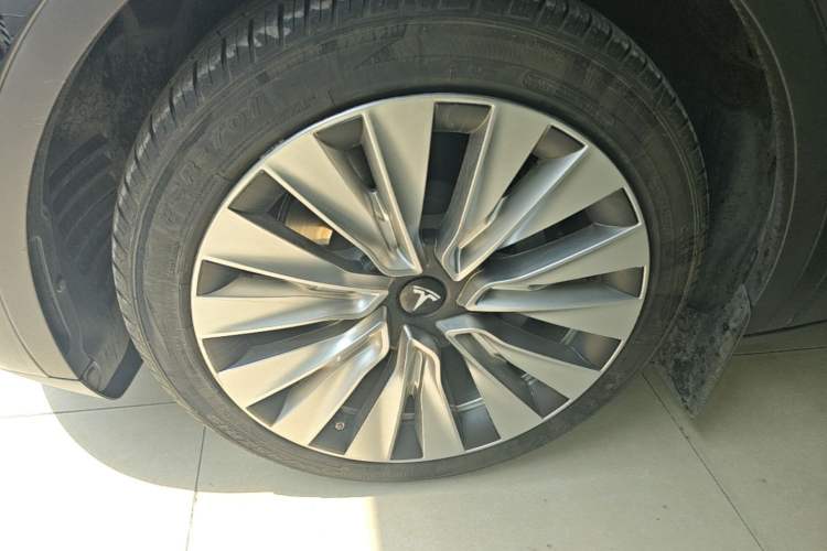 Used Tesla Model Y 2021 Standard Range Rear-Wheel Drive Version Exterior 4