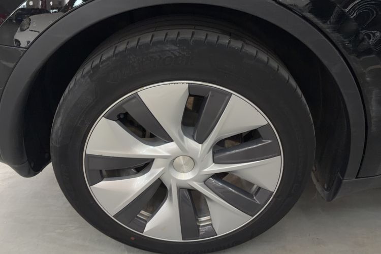Used Tesla Model Y 2021 Standard Range Rear-Wheel Drive Version Exterior 4