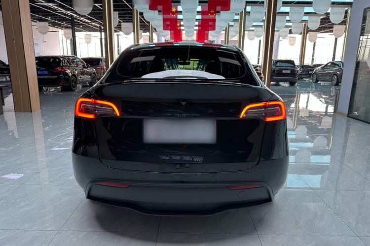 Used Tesla Model Y 2021 Standard Range Rear-Wheel Drive Version Exterior 4