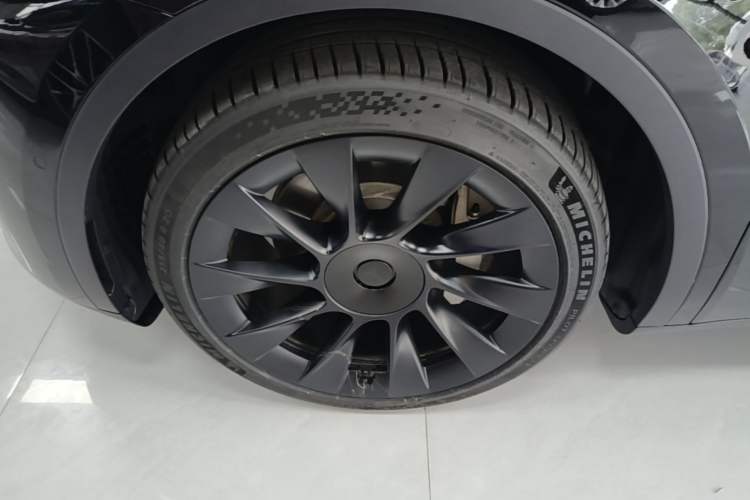 Used Tesla Model Y 2021 Standard Range Rear-Wheel Drive Version Exterior 4