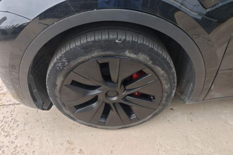 Used Tesla Model Y 2021 Standard Range Rear-Wheel Drive Version Exterior 4