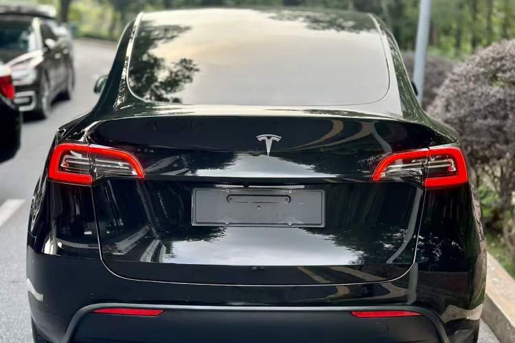 Used Tesla Model Y 2021 Standard Range Rear-Wheel Drive Version Exterior 4