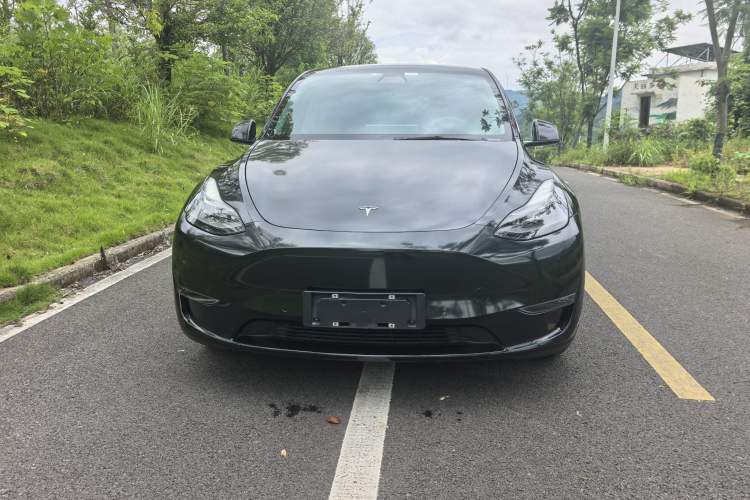Used Tesla Model Y 2021 Standard Range Rear-Wheel Drive Version Exterior 4