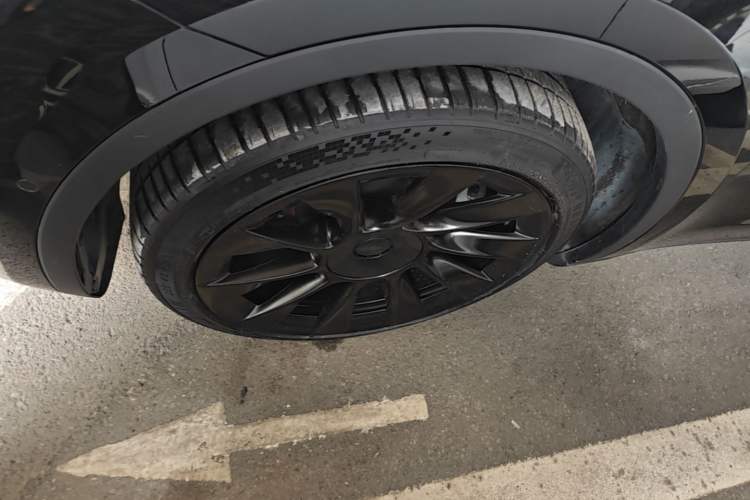 Used Tesla Model Y 2021 Standard Range Rear-Wheel Drive Version Exterior 4
