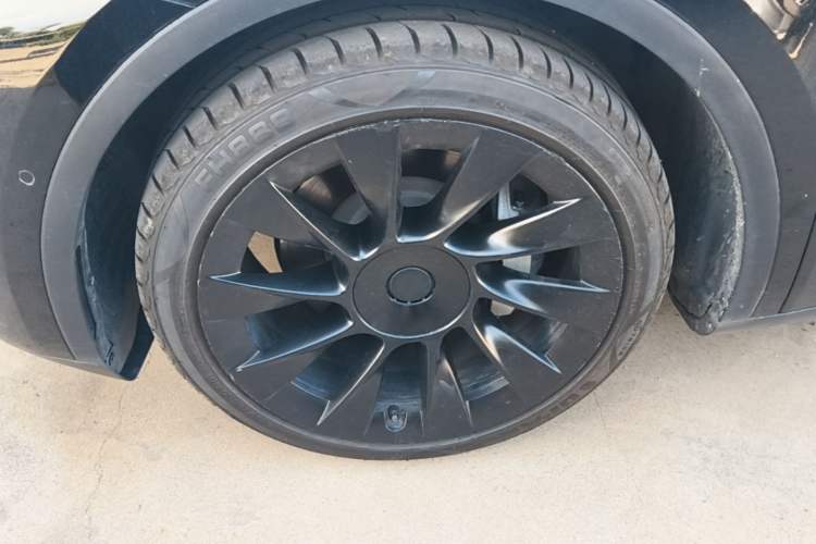 Used Tesla Model Y 2021 Standard Range Rear-Wheel Drive Version Exterior 4