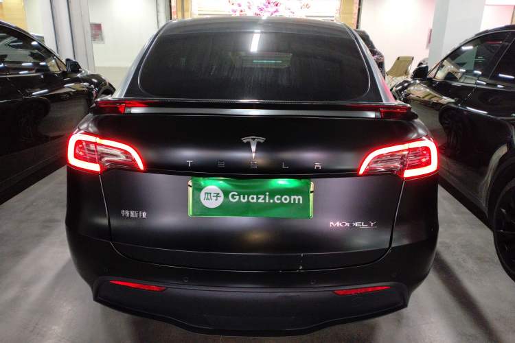 Used Tesla Model Y 2021 Performance High-Performance All-Wheel-Drive Version Exterior 4