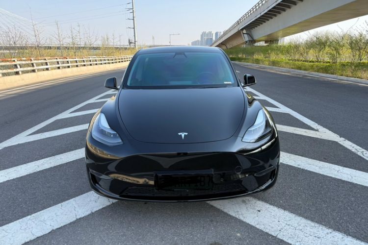 Used Tesla Model Y 2021 Standard Range Rear-Wheel Drive Version Exterior 4