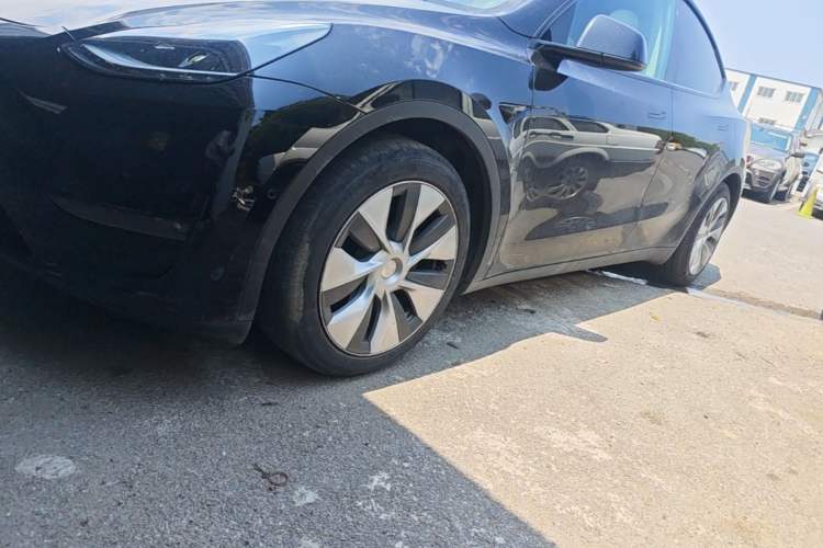 Used Tesla Model Y 2021 Standard Range Rear-Wheel Drive Version Exterior 4