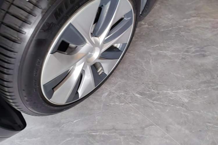 Used Tesla Model Y 2021 Standard Range Rear-Wheel Drive Version Exterior 4