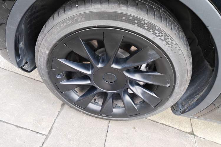 Used Tesla Model Y 2021 Standard Range Rear-Wheel Drive Version Exterior 4