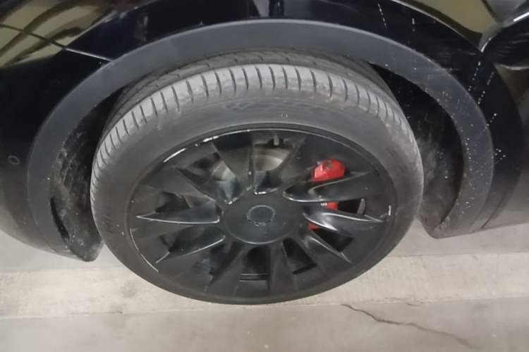 Used Tesla Model Y 2021 Long-Range All-Wheel-Drive Version 3D7 Exterior 4