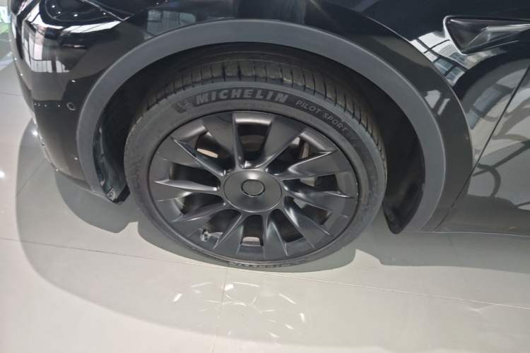 Used Tesla Model Y 2021 Long-Range All-Wheel-Drive Version Exterior 4