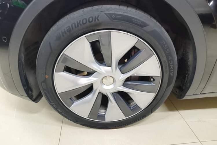Used Tesla Model Y 2021 Standard Range Rear-Wheel Drive Version Exterior 4