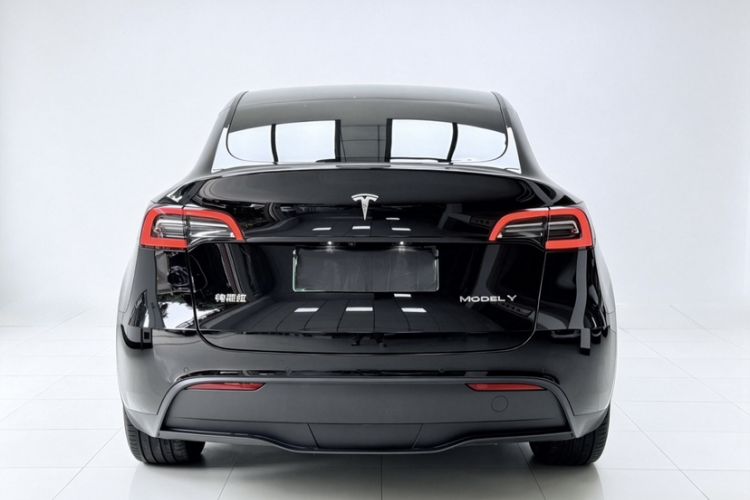 Used Tesla Model Y 2021 Standard Range Rear-Wheel Drive Version Exterior 4