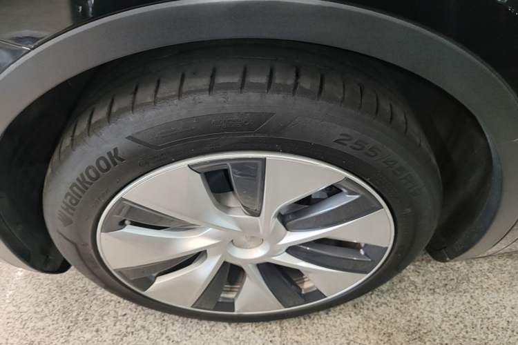 Used Tesla Model Y 2021 Long-Range All-Wheel-Drive Version Exterior 4