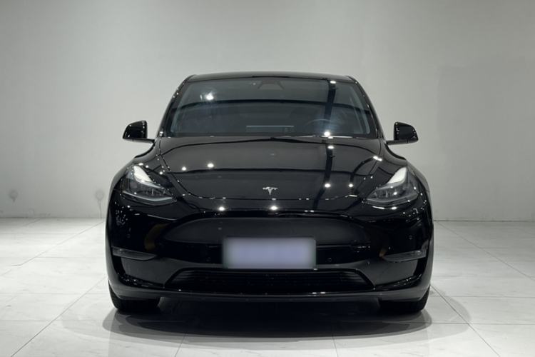 Used Tesla Model Y 2021 Performance High-Performance All-Wheel-Drive Version Exterior 4