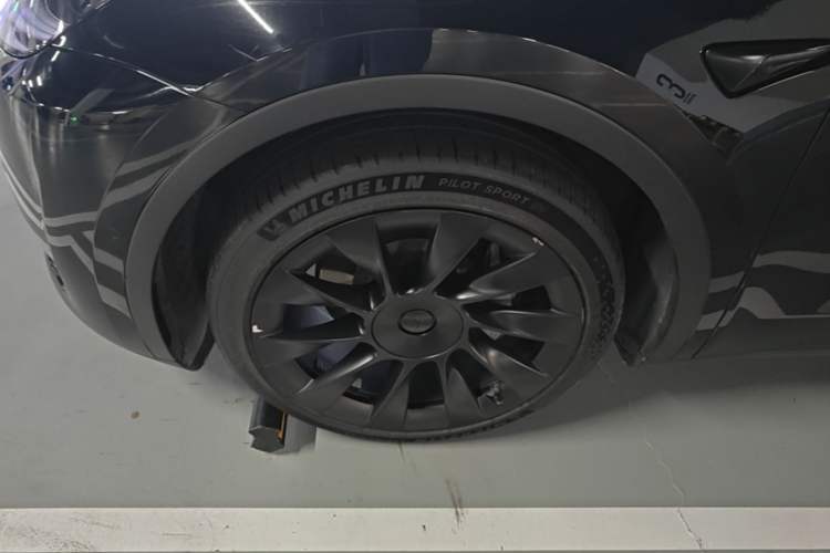 Used Tesla Model Y 2021 Standard Range Rear-Wheel Drive Version Exterior 4