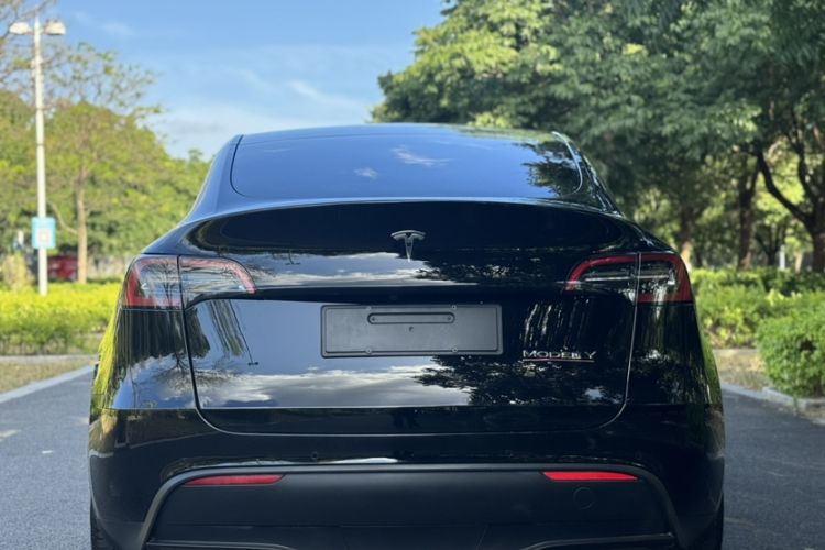 Used Tesla Model Y 2021 Performance High-Performance All-Wheel-Drive Version Exterior 4