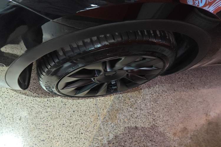 Used Tesla Model Y 2021 Standard Range Rear-Wheel Drive Version Exterior 4
