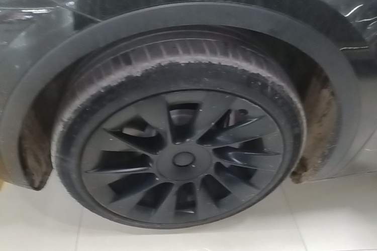 Used Tesla Model Y 2021 Standard Range Rear-Wheel Drive Version Exterior 4