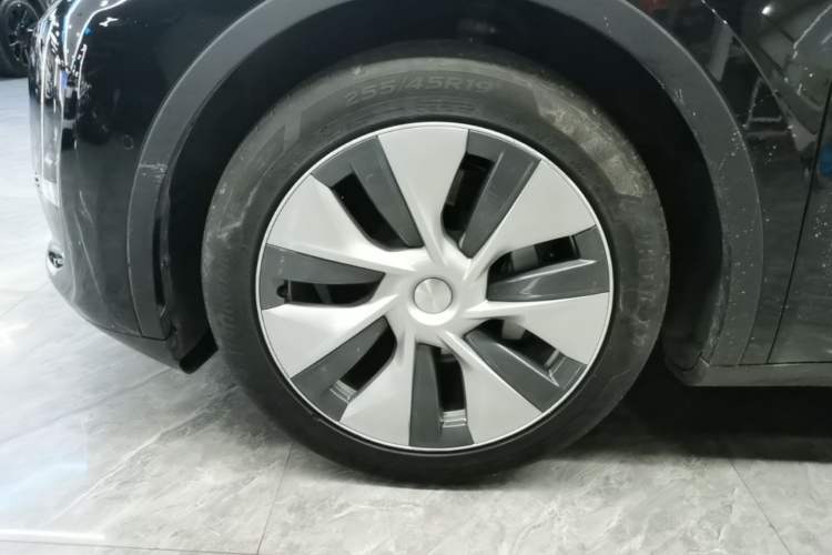 Used Tesla Model Y 2021 Standard Range Rear-Wheel Drive Version Exterior 4
