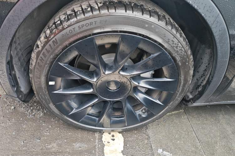 Used Tesla Model Y 2021 Standard Range Rear-Wheel Drive Version Exterior 4