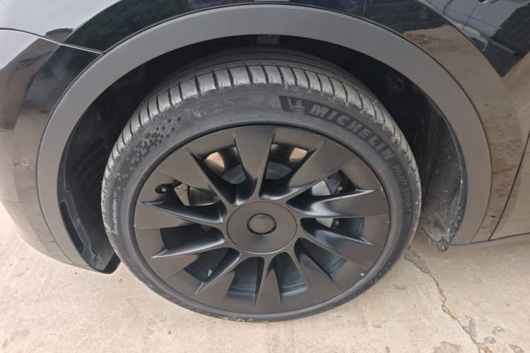 Used Tesla Model Y 2021 Standard Range Rear-Wheel Drive Version Exterior 4
