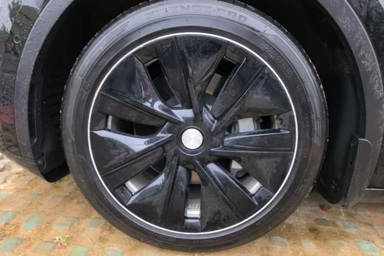 Used Tesla Model Y 2021 Standard Range Rear-Wheel Drive Version Exterior 4
