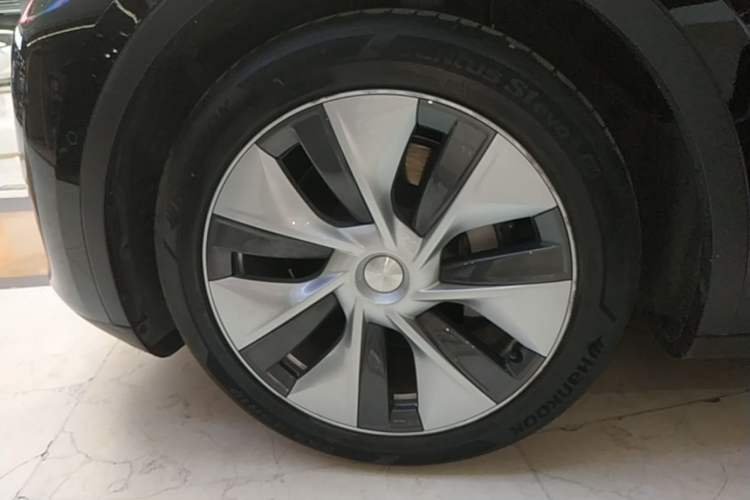 Used Tesla Model Y 2021 Standard Range Rear-Wheel Drive Version Exterior 4