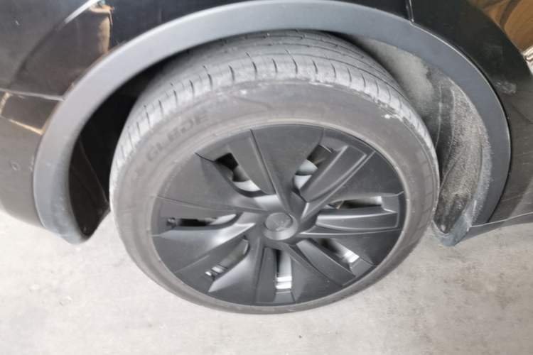 Used Tesla Model Y 2021 Standard Range Rear-Wheel Drive Version Exterior 5