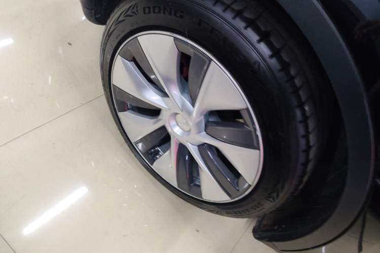 Used Tesla Model Y 2021 Standard Range Rear-Wheel Drive Version Exterior 5