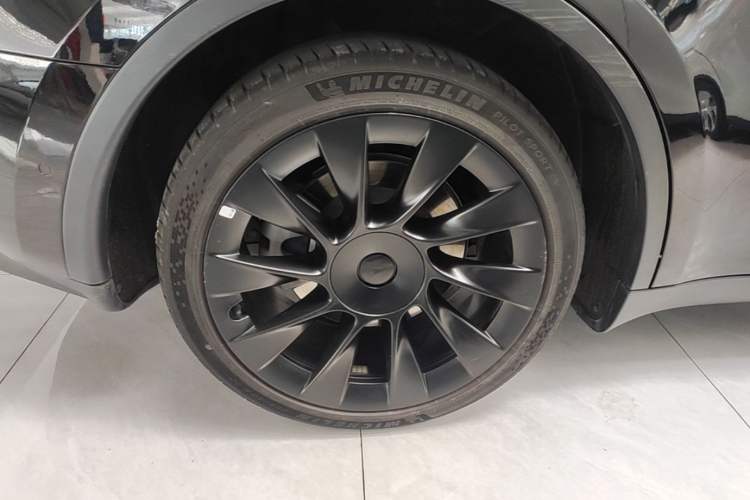 Used Tesla Model Y 2021 Standard Range Rear-Wheel Drive Version Exterior 5