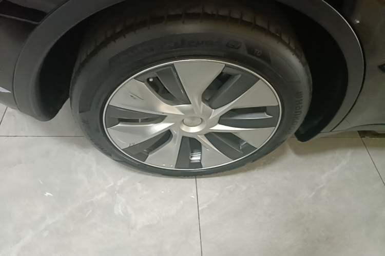 Used Tesla Model Y 2021 Standard Range Rear-Wheel Drive Version Exterior 5