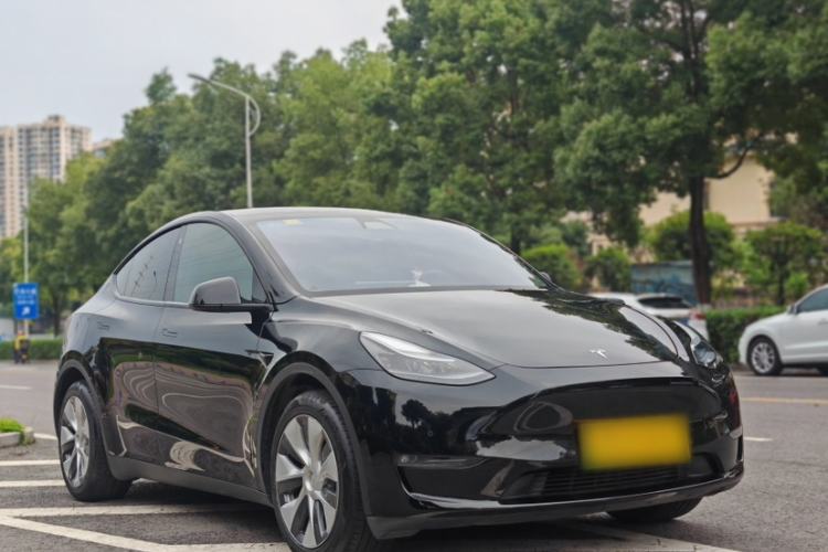 Used Tesla Model Y 2021 Standard Range Rear-Wheel Drive Version Exterior 5