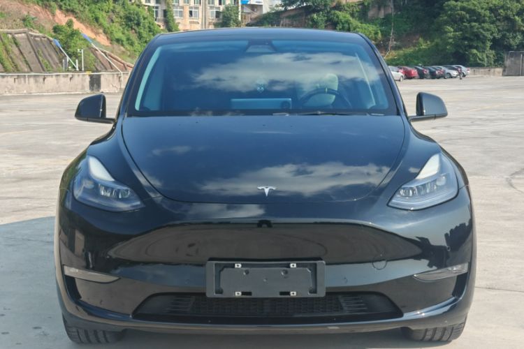 Used Tesla Model Y 2021 Standard Range Rear-Wheel Drive Version Exterior 5