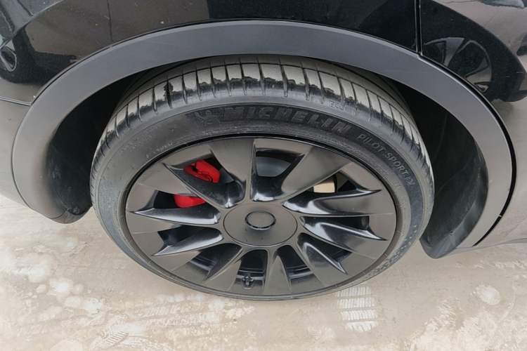 Used Tesla Model Y 2021 Standard Range Rear-Wheel Drive Version Exterior 5