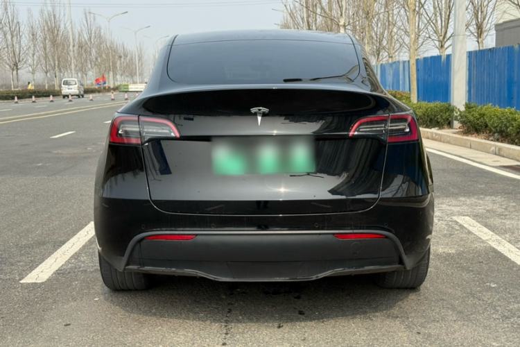 Used Tesla Model Y 2021 Standard Range Rear-Wheel Drive Version Exterior 5