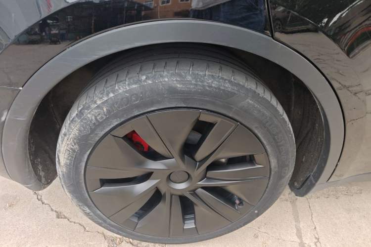 Used Tesla Model Y 2021 Standard Range Rear-Wheel Drive Version Exterior 5
