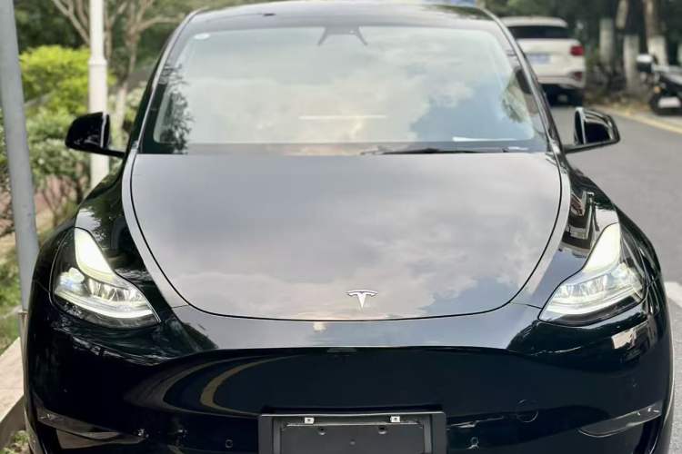 Used Tesla Model Y 2021 Standard Range Rear-Wheel Drive Version Exterior 5