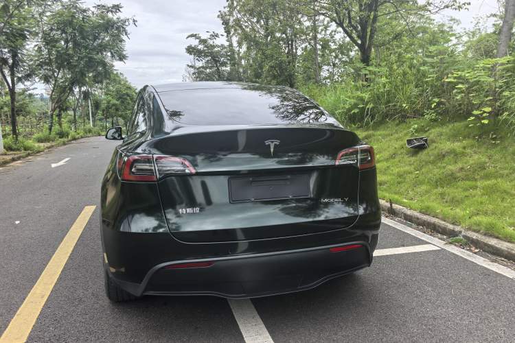 Used Tesla Model Y 2021 Standard Range Rear-Wheel Drive Version Exterior 5