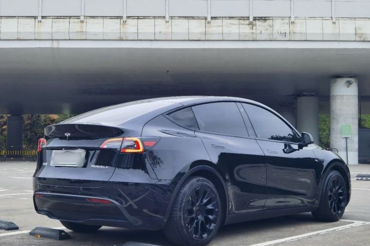 Used Tesla Model Y 2021 Standard Range Rear-Wheel Drive Version Exterior 5