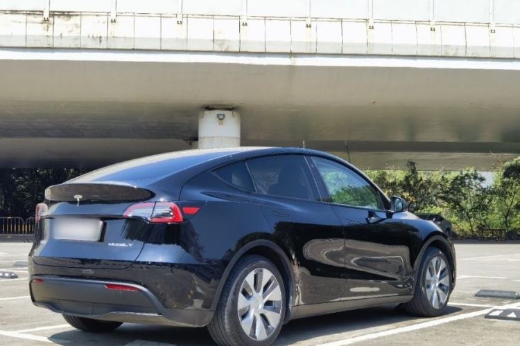 Used Tesla Model Y 2021 Standard Range Rear-Wheel Drive Version Exterior 5