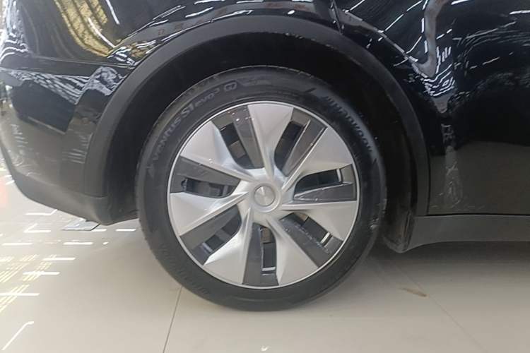 Used Tesla Model Y 2021 Standard Range Rear-Wheel Drive Version Exterior 5