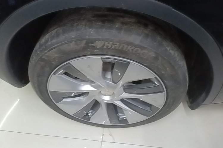 Used Tesla Model Y 2021 Standard Range Rear-Wheel Drive Version Exterior 5